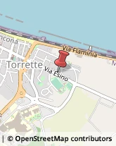 Falegnami Ancona,60126Ancona