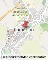 Amministrazioni Immobiliari Camerino,62032Macerata