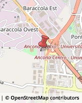 Elettrodomestici Ancona,60131Ancona