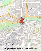 Trasporto Pubblico,55100Lucca