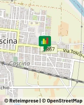 Assicurazioni Cascina,56021Pisa