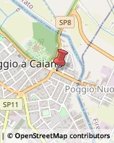 Associazioni e Federazioni Sportive Poggio a Caiano,59016Prato