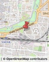 Assicurazioni,55100Lucca