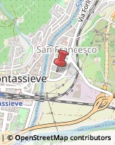 Assicurazioni Pelago,50060Firenze