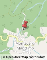 Commercialisti Monteverdi Marittimo,56040Pisa