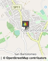 Autotrasporti Cupramontana,60034Ancona