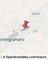 Ristoranti Montegranaro,63812Fermo