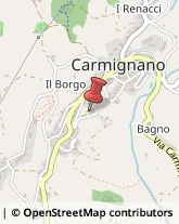 Scuole Pubbliche Carmignano,59015Prato