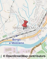 Associazioni ed Istituti di Previdenza ed Assistenza Borgo a Mozzano,55023Lucca