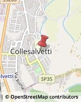 Aziende Sanitarie Locali (ASL) Collesalvetti,57014Livorno