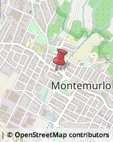 Demolizioni e Scavi Montemurlo,59013Prato