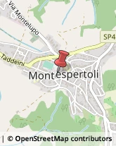 Mercerie Montespertoli,50025Firenze