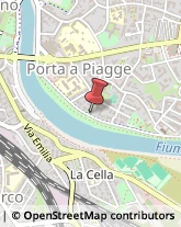 Viale delle Piagge, 8,56125Pisa