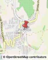 Perle Peccioli,56037Pisa