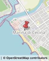 Supermercati e Grandi magazzini Cecina,57023Livorno