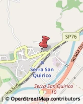 Piante e Fiori - Dettaglio Serra San Quirico,60048Ancona