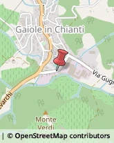 Panetterie Gaiole in Chianti,53013Siena
