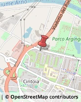 Analisi Chimiche, Industriali e Merceologiche Firenze,50142Firenze