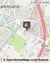 Vigili del Fuoco Calenzano,50041Firenze