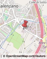 Vigili del Fuoco Calenzano,50041Firenze