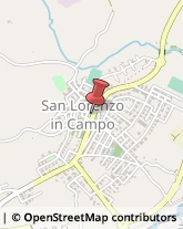 Abbigliamento San Lorenzo in Campo,61047Pesaro e Urbino
