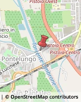 Pelletterie - Ingrosso e Produzione Pistoia,51100Pistoia