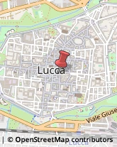 Libri, Fumetti e Riviste,55100Lucca