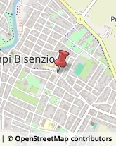 Zucchero Campi Bisenzio,50013Firenze