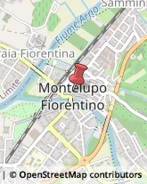 ,50056Firenze