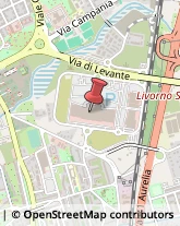 Arredamento - Vendita al Dettaglio,57124Livorno