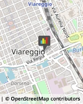 Pubblicità - Cartelli, Insegne e Targhe Viareggio,55049Lucca