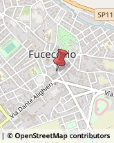 Infermieri ed Assistenza Domiciliare Fucecchio,50054Firenze