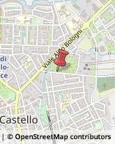 Catering e Ristorazione Collettiva Città di Castello,06012Perugia