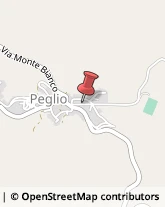 Autotrasporti Peglio,61049Pesaro e Urbino