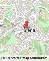 Notai,53100Siena