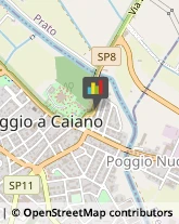 Oggetti Ricordo e Souvenirs Poggio a Caiano,59016Prato