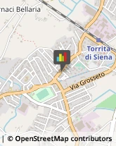 Ragionieri e Periti Commerciali - Studi Torrita di Siena,53049Siena