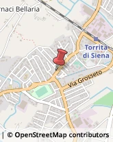 Ragionieri e Periti Commerciali - Studi Torrita di Siena,53049Siena
