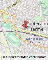 Agricoltura - Attrezzi e Forniture Montecatini Terme,51016Pistoia