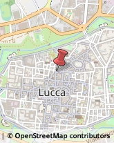 Calzaturifici e Calzolai - Forniture Lucca,55100Lucca