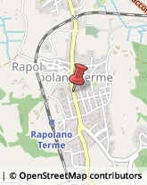 Aziende Agricole Rapolano Terme,53040Siena