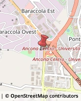 Impianti Idraulici e Termoidraulici Ancona,60131Ancona