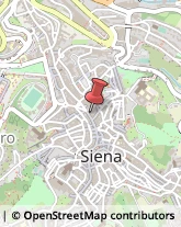 Carte di Credito - Servizi Siena,53100Siena