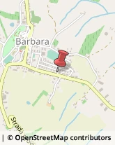 Autotrasporti Barbara,60010Ancona