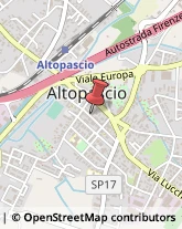 Alimentari Altopascio,55011Lucca