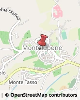 Istituti Finanziari Montelupone,62010Macerata