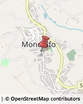 Articoli per Ortopedia Mondolfo,61037Pesaro e Urbino