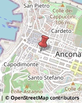 Corso Stamira, 54,60122Ancona