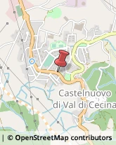 Piante e Fiori - Dettaglio Castelnuovo di Val di Cecina,56041Pisa