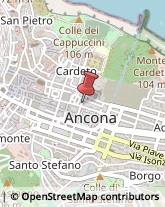 Ordini e Collegi Professionali Ancona,60121Ancona